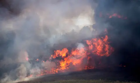 Голям горски пожар бушува край село Бигла в Северна Македония
