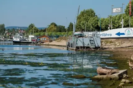 Критична суша: Над 100 региона в Германия ограничават водата
