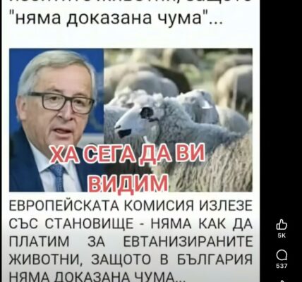 Не е вярно, че ЕС има становище да не плаща за евтаназирани животни, тъй като няма доказана чума