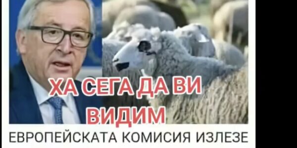 Не е вярно, че ЕС има становище да не плаща за евтаназирани животни, тъй като няма доказана чума