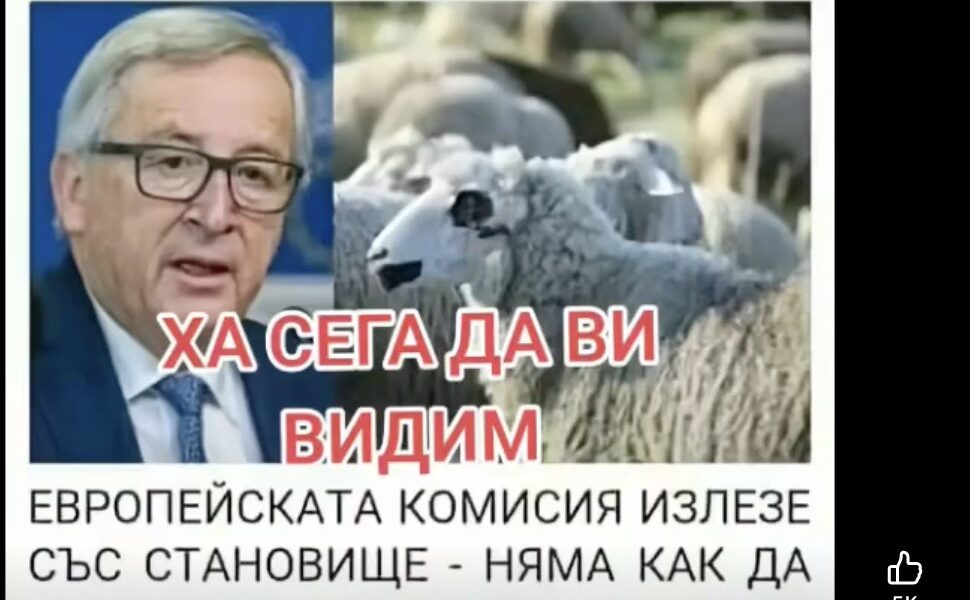 Не е вярно, че ЕС има становище да не плаща за евтаназирани животни, тъй като няма доказана чума