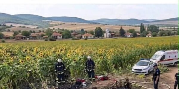 Не, тези изображения не показват дрона, паднал край с. Кардам