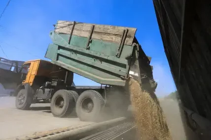 Украйна се насочва към алтернативни маршрути за износ на зърно