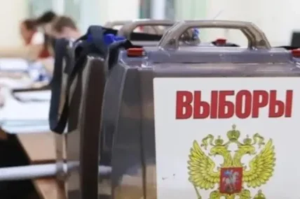 Избори „по законите на джунглата“