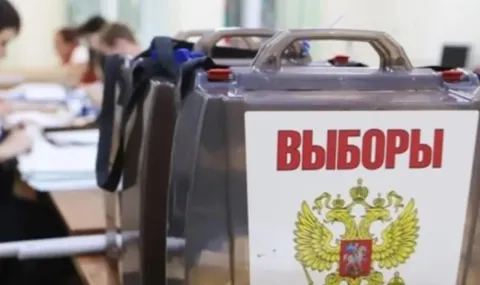 Избори „по законите на джунглата“