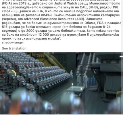 Няма доказателства, че съществуват „ферми за човешки бебета“, които захранват изкуствен интелект с човешки неврони